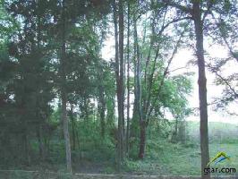 Lot 13 County Road 4396