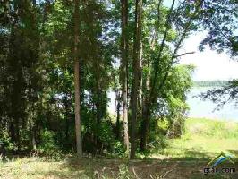 Lot 15 County Road 4396