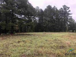 Lot 21 Lake Gladewater