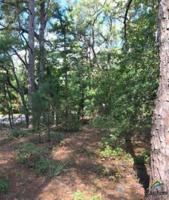 Lot 67 CR 3419