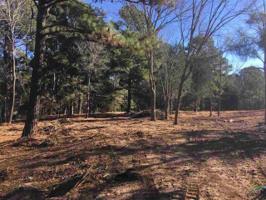 Lot 199 of East Shore Estates