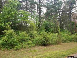 Lot 142 Green Meadow Trl