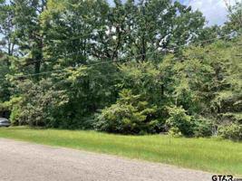 LOT 53 WILD LAKES ROAD