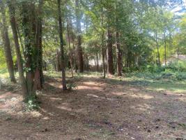 Lot 44 Wild Lakes Road