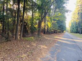 TBD Wildwood Trail