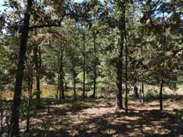 00 King Thomas Dr