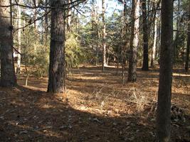 LOT 9-293 Shiprock Path