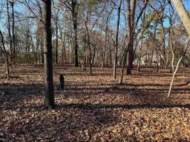 LOT 198, 199 Magnolia Ln.