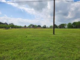 TBD Lot  # 3 County Road 4202
