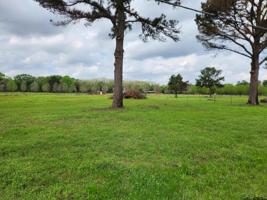 TBD Lot # 4 County Road 4202