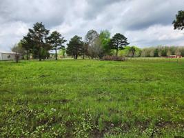TBD Lot #5 County Road 4202