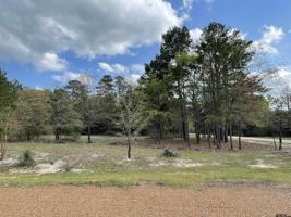 Lot 800 Angelina St.