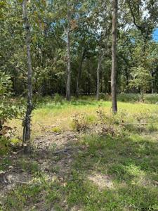 Lot 21 Angler Shores Drive
