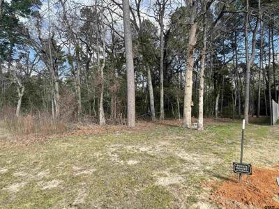 303 Carri Dr