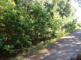 000 Magnolia Lane