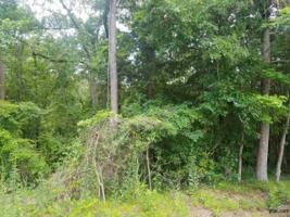 0 Cove Park Dr.