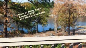 170 Wild Goose Lane #F 221