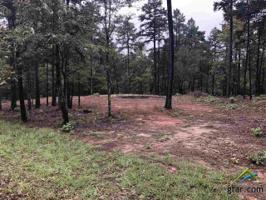 Lot 4 lake Gladewater Road