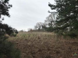 LOTS 19 & 21 County Road 2276