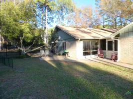 202 Pine Tree 3A