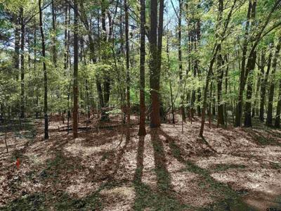 TBD Crooked Creek Dr.