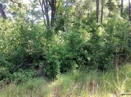 Lot 4 Fairhaven Dr