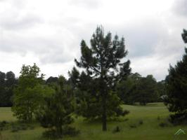 Lot 525 Golfing Green Cove