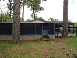 16871 Elm