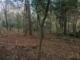 161 E Fairway Dr.