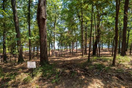 Lot 5 Big Oaks