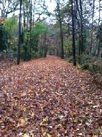 Hickory Hill Land