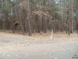 0000 Dogwood Trail