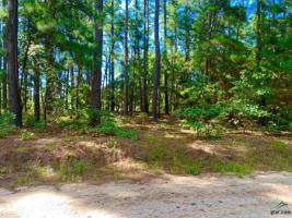 LOT 50 OLD VILLAGES WAY