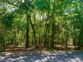 LOT 49 LAZY LANE