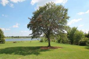 Lot 1 CR 3329