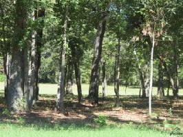 Lot 13 Eagles Bluff Blvd South