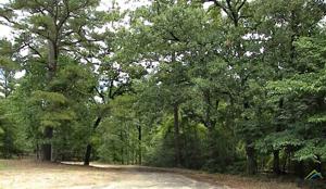 LOT 334, 335 Winding Knoll