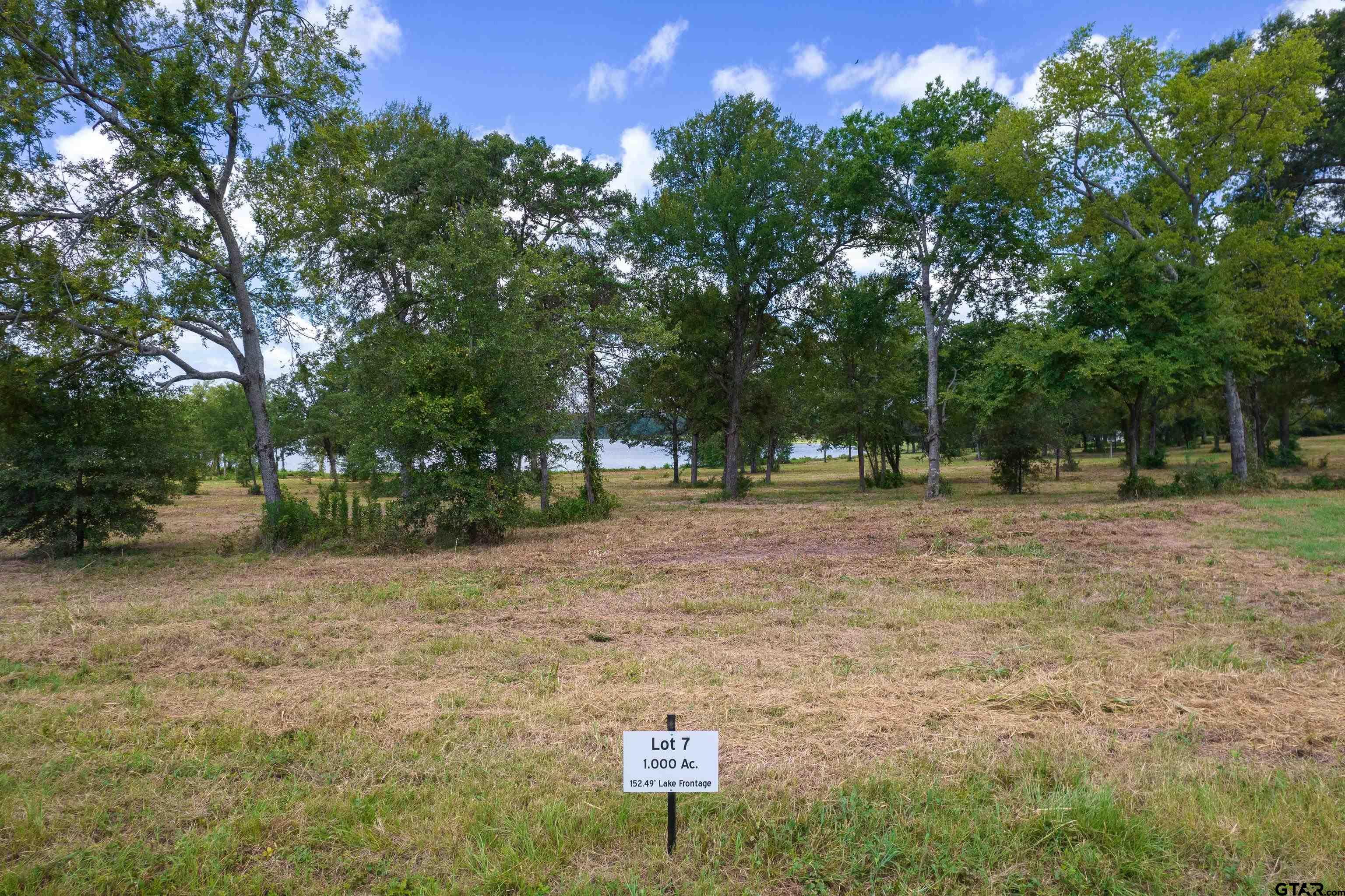 Image 3: Image 3