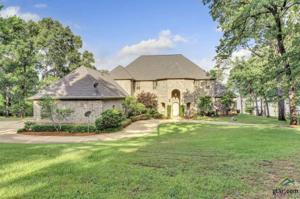 16050 TROY COURT