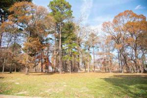 Dogwood Lakes Circle
