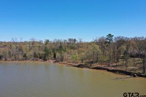 TBD LOT 13 SOUTH SHORES