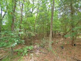 Lot 4 Cypress Creek Dr.