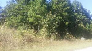 11584 Barrel Roll Trail Lot 74