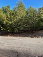 0000 Cypress Cove