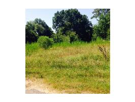 0000 County Road 1975
