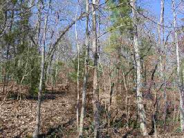 251 Opossum Creek Dr.