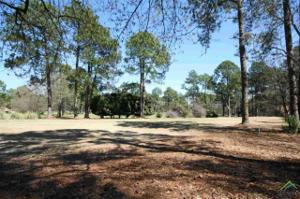 Sec 4 Lot 273 Holly Trail East