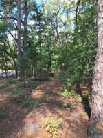 Lot 67 CR 3419