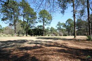 Sec 4 Lot 273 Holly Trail East
