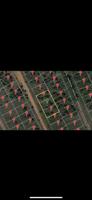 19545 Panhandle Trl